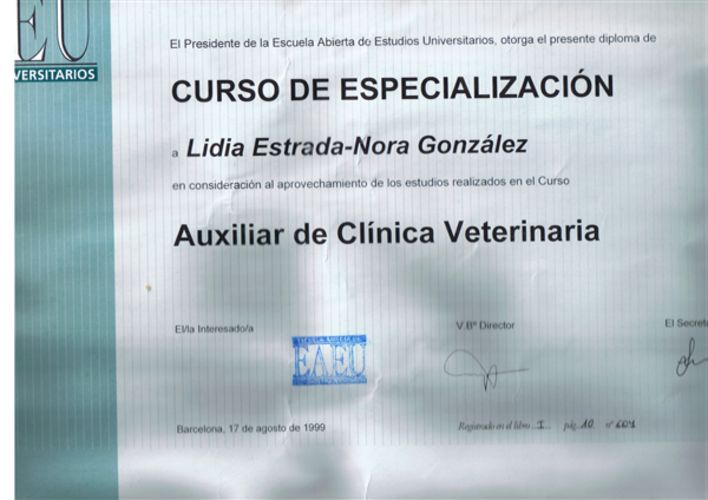 Diploma