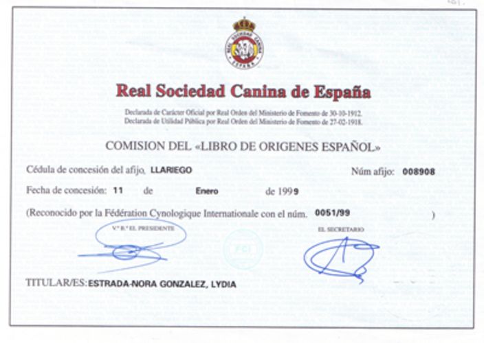 Diploma